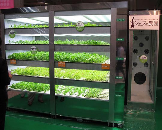 Торговый автомат сад — выращивает зелень сам
